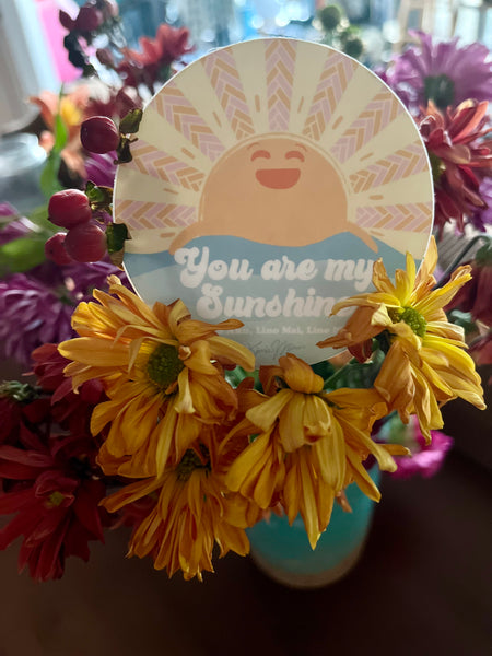 You Are MY Sunshine Sticker